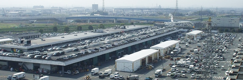 奈良中央卸売市場業 写真